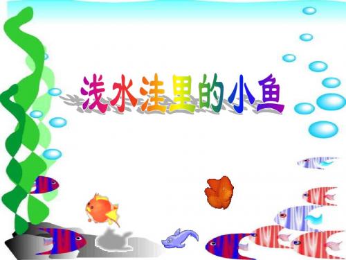 28《浅水洼里的小鱼》PPT课件45212