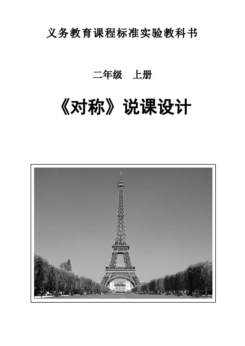 美丽对称图形