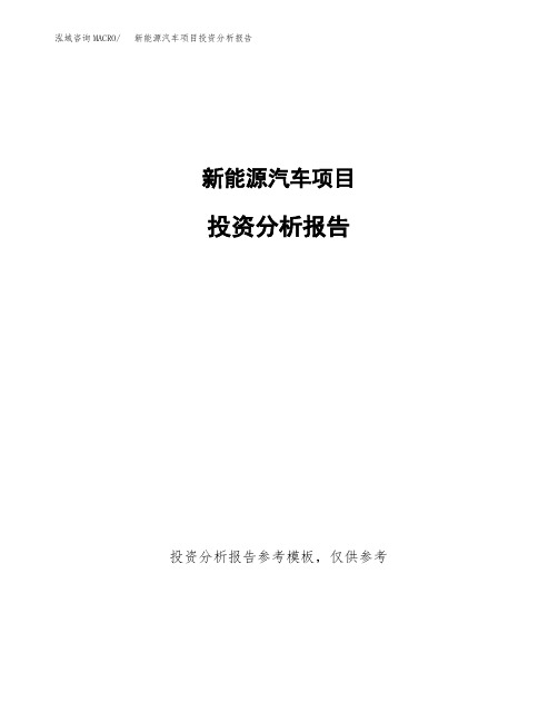 新能源汽车项目投资分析报告(建设投资分析评价范本)