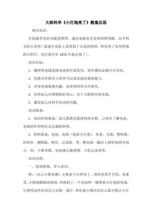 大班科学《小灯泡亮了》教案反思.doc