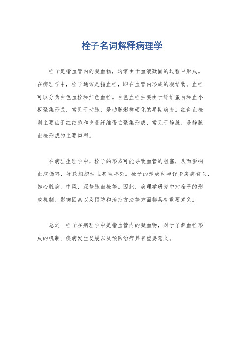 栓子名词解释病理学