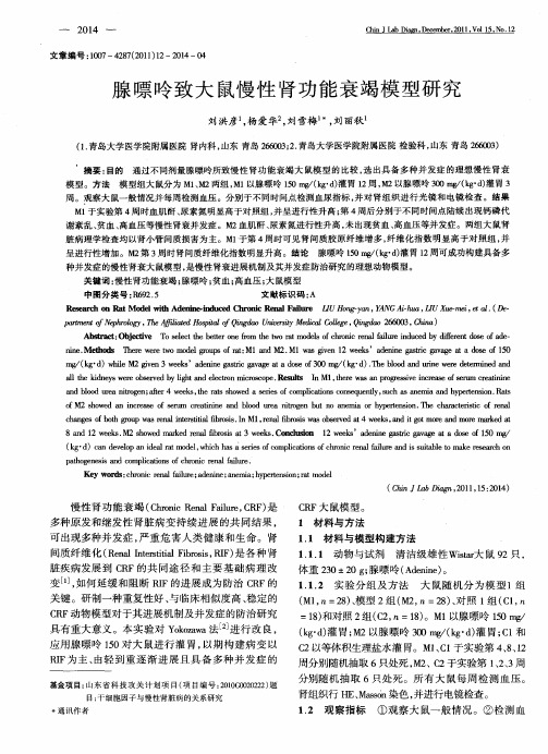 腺嘌呤致大鼠慢性肾功能衰竭模型研究