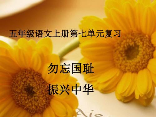 语文五上第七单元复习课件