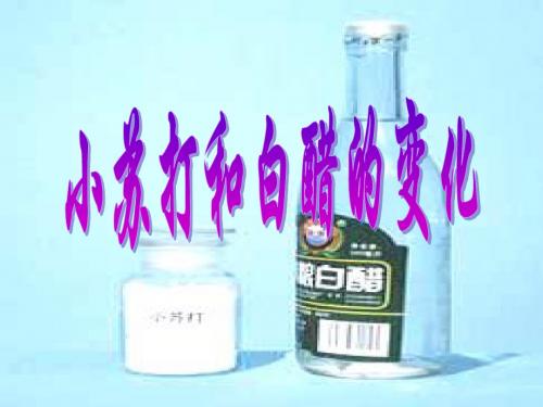 4(2)《小苏打和白醋的变化》PPT课件