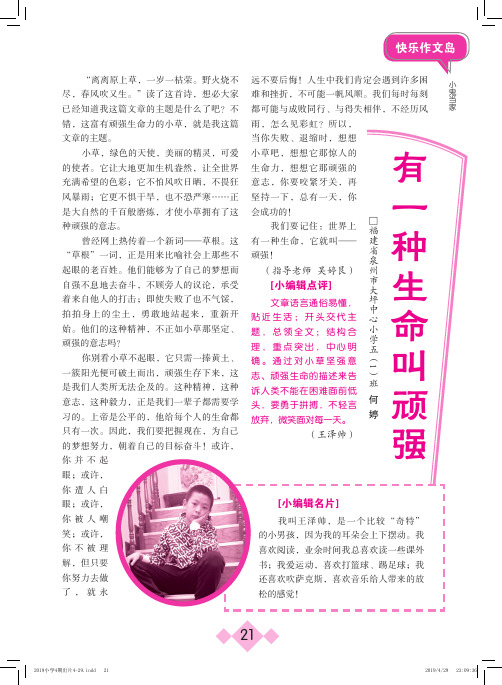 有一种生命叫顽强