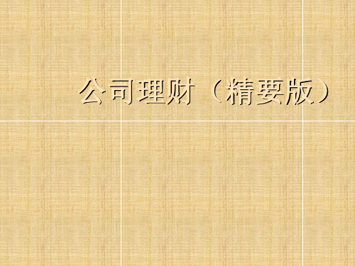 公司理财导论(ppt38页).pptx