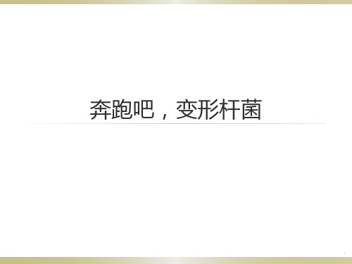 变形杆菌介绍