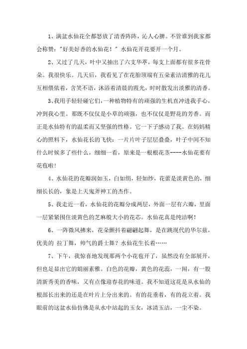 描写水仙花外貌的段落精选