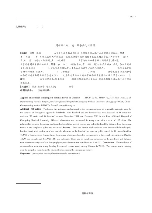 国人corona mortis血管的应用解剖