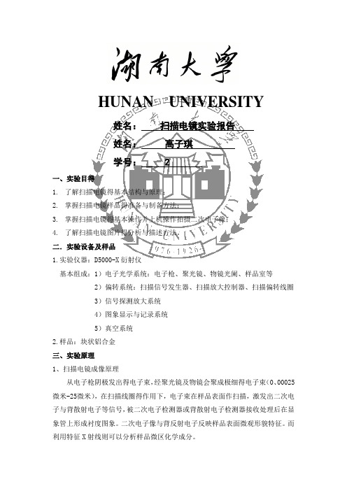 扫描电镜实验报告
