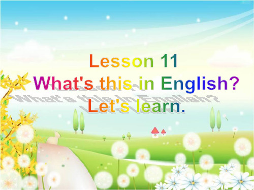 最新四年级英语上册Lesson11What’sthisinEnglish1科普版优选教学课件