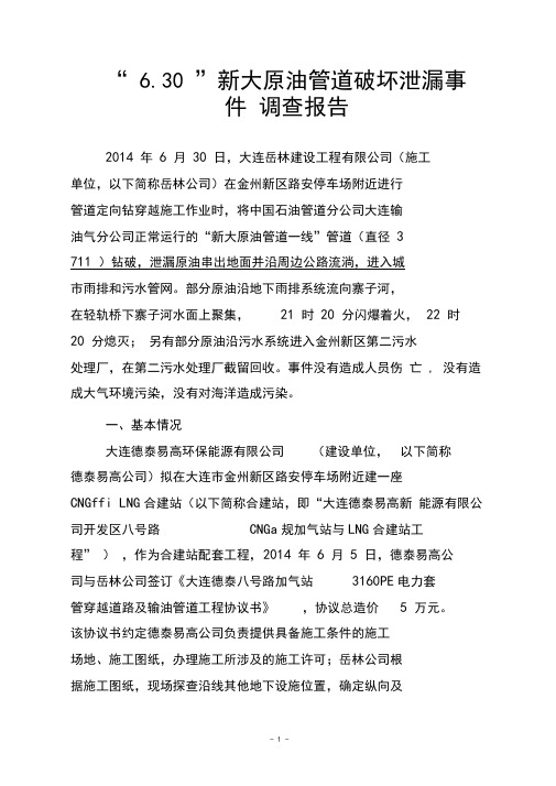 “6.30”新大原油111管道破坏泄漏事件调查报告