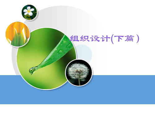 组织的设计(下篇)-PPT精品文档66页