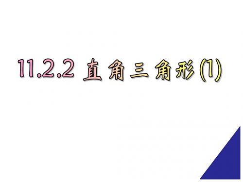 11.2.2_直角三角形