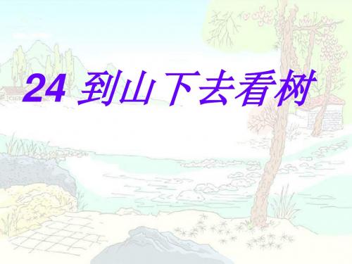 五年级语文下册(西师版)第六单元《到山下去看树》课件