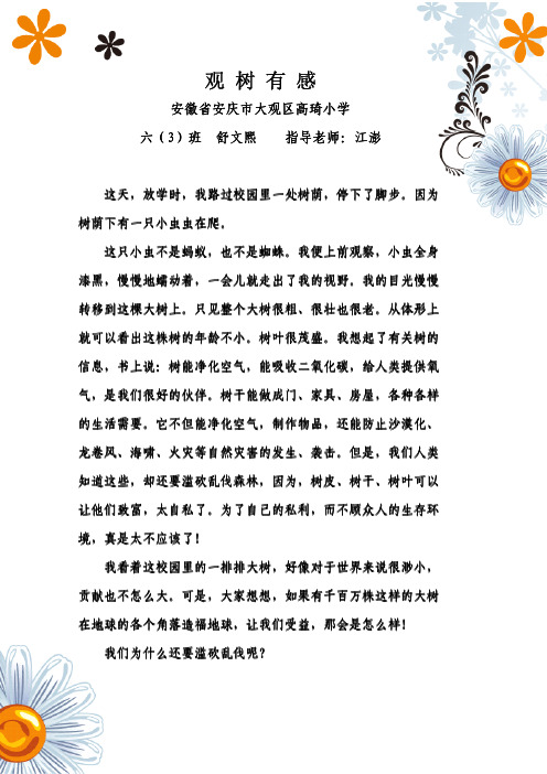 观树有感