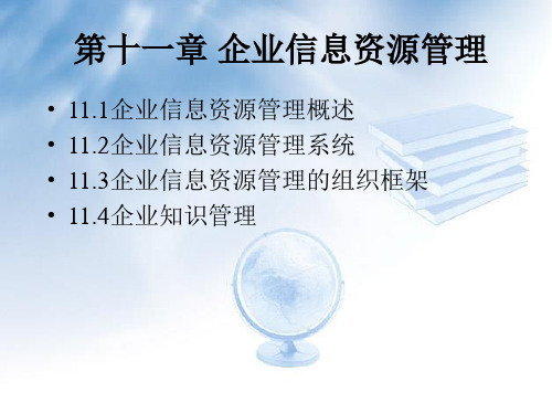 C11 企业信息资源管理