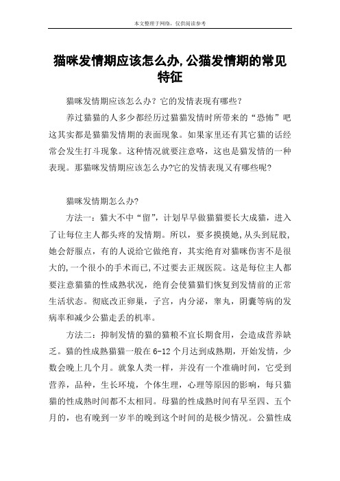猫咪发情期应该怎么办,公猫发情期的常见特征