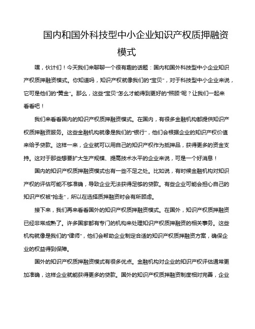 国内和国外科技型中小企业知识产权质押融资模式