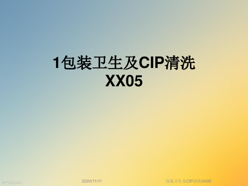 包装卫生及CIP清洗XX05