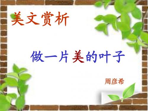 4做一片美的叶子PPT(公开课)