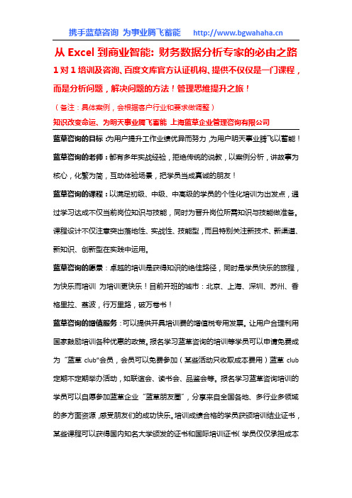 《从Excel到商业智能：财务数据分析专家的必由之路》