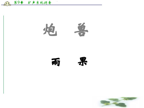 高二语文课件：第2单元《炮兽》课件1(人教选修《外国小说欣赏》)
