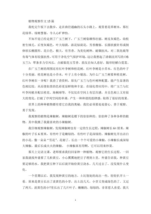 植物观察作文15篇(精选)