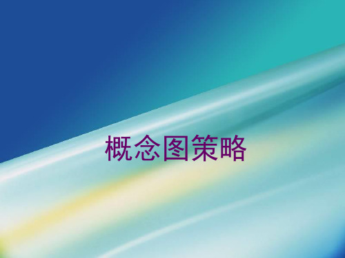 概念图策略资料