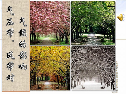 《世界的气候》ppt课件人教版初中地理7