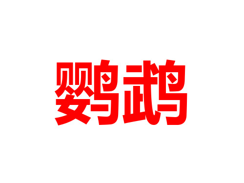 幼儿中文杜曼闪卡百科卡-鸟系列 -鹦鹉