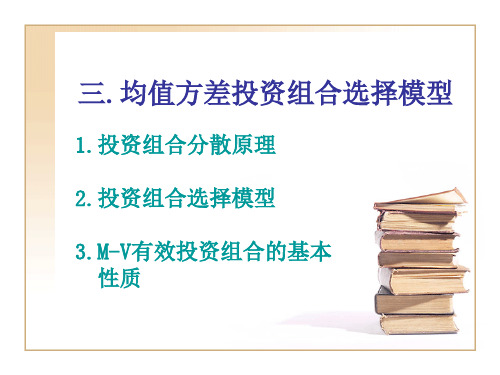 第4章 投资组合选择方法(3)
