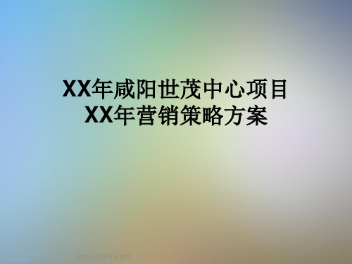 XX年咸阳世茂中心项目XX年营销策略方案