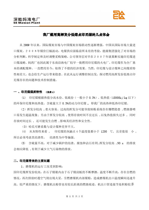 火电厂印尼煤