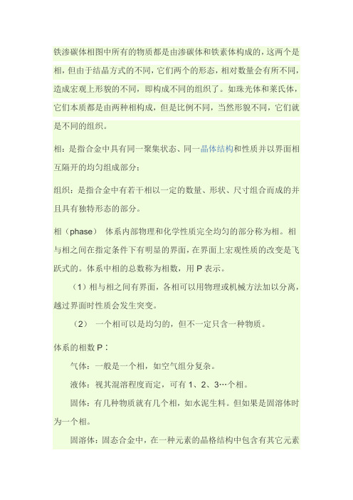 相与组织的相关概念