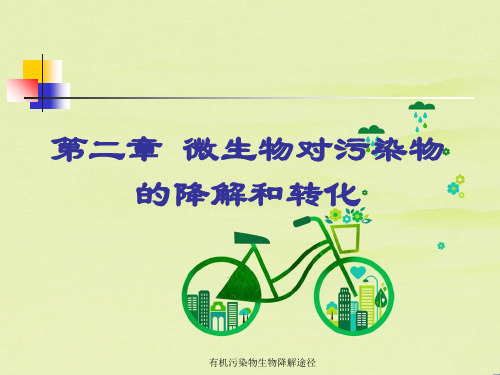 有机污染物生物降解途径