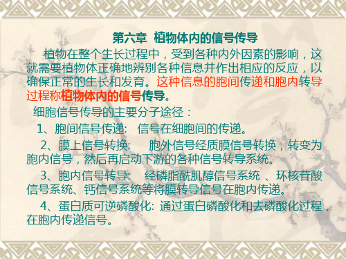 植物激素受体