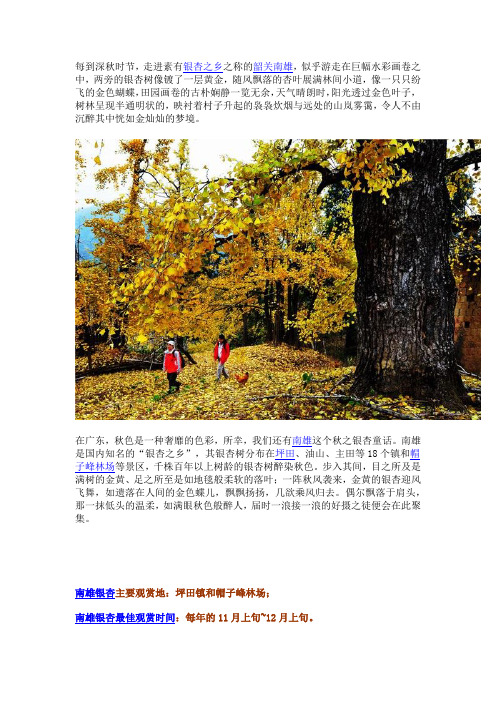 南雄攻略