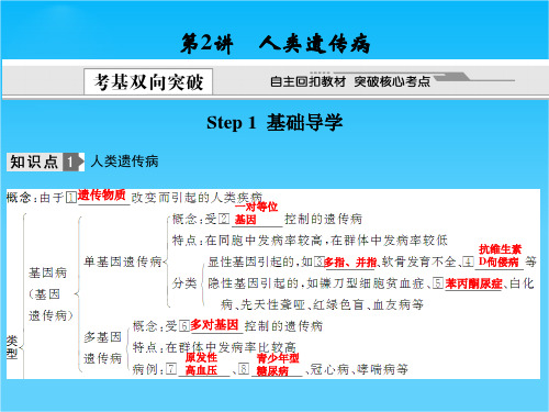 高考生物必修2总复习课件12