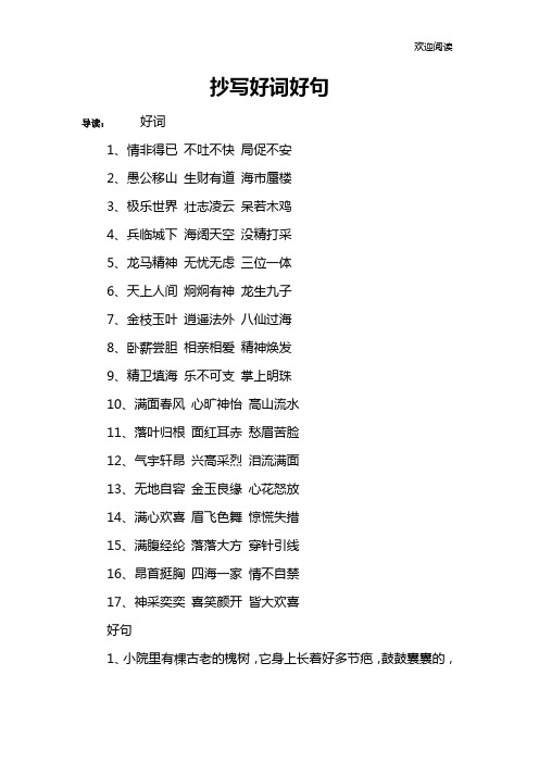 抄写好词好句
