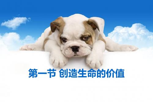 湘教版第二单元第三节创造生命的价值