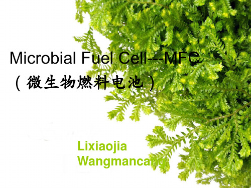 Microbial fuel cell