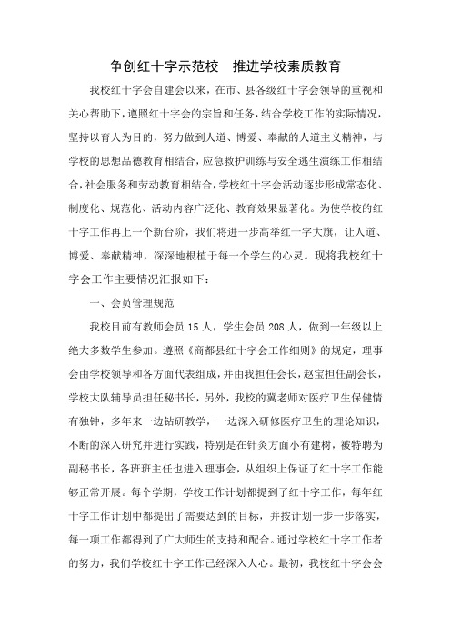 红十字汇报材料