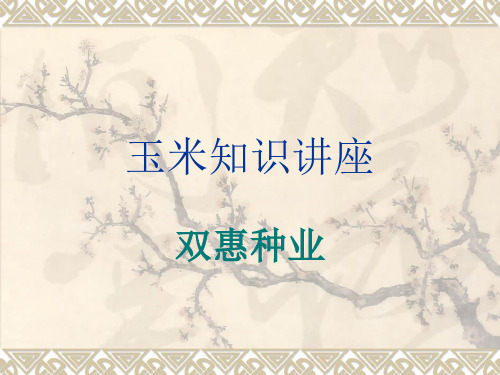 玉米育种相关知识