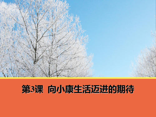 第3课《向小康生活迈进的期待》课件(粤教必修5)