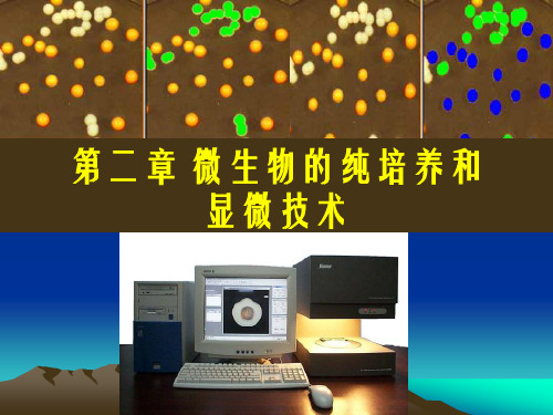 第二章 微生物的纯培养和显微技术 第一节  微生物的分离和纯培养