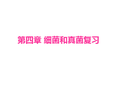 第四章细菌和真菌复习概论