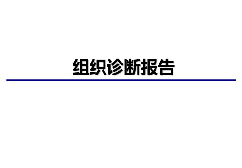 13 组织诊断报告