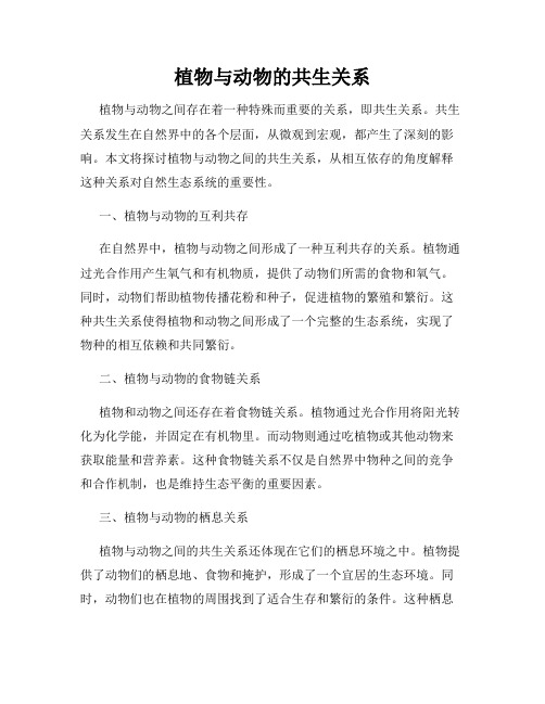 植物与动物的共生关系