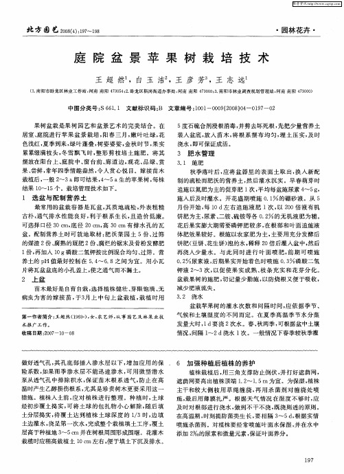 庭院盆景苹果树栽培技术